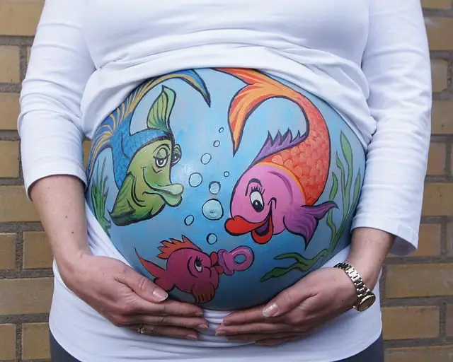 is-my-fish-pregnant-everything-you-need-to-know