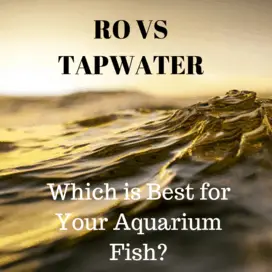 ro water vs tap water