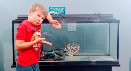 converting saltwater to freshwater aquarium