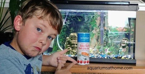 Why Put Salt in a Freshwater Aquarium? -