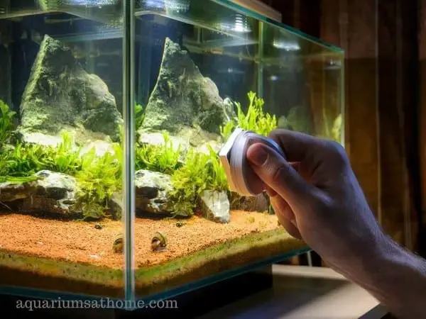 aquarium glass corner