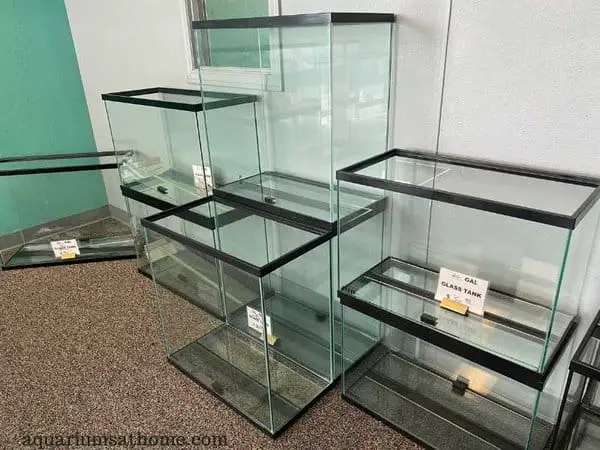 empty fish tanks in a store