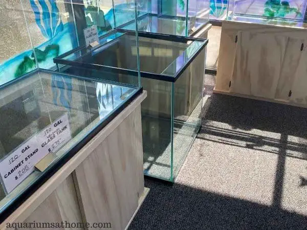 large empty aquariums in a store