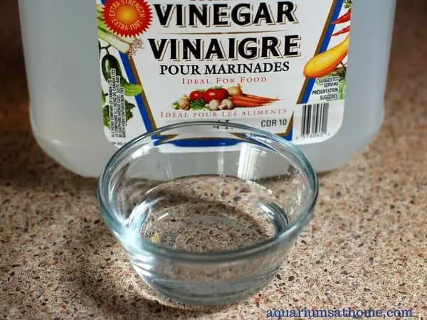 How to Lower pH in an Aquarium with Vinegar