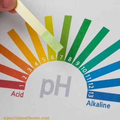 How to Adjust PH in an Aquarium Safely?